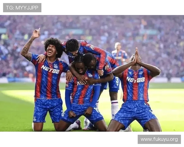 水晶宫主场在哪个城市的哪个区域,帮助球迷轻松找到比赛地点